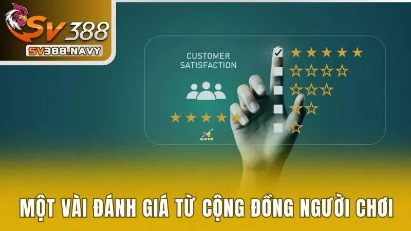 đánh giá từ người chơi