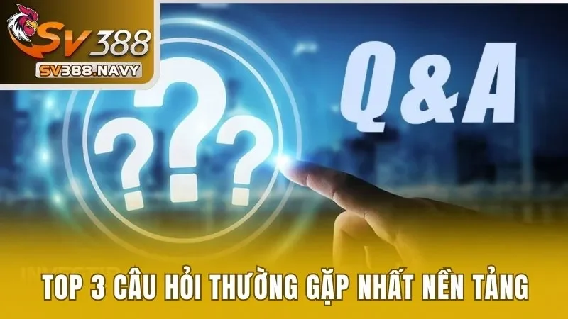 top 3 câu hỏi